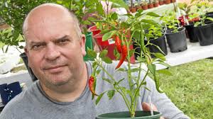 Juan, The Chili Gardener